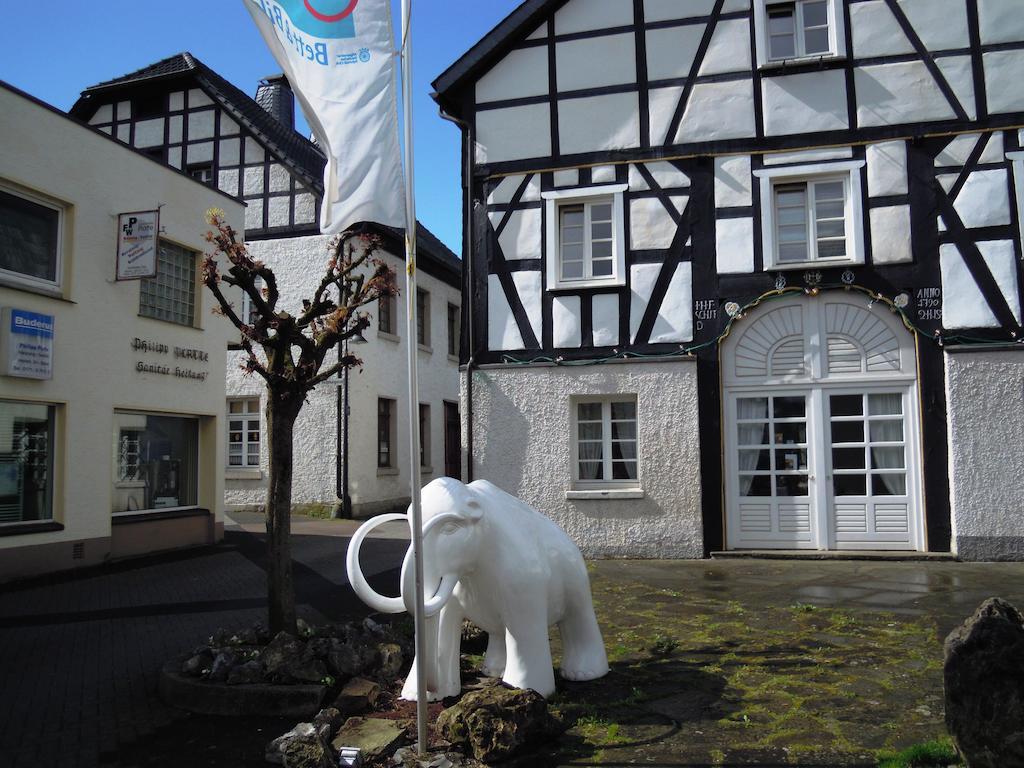 Mammut Apartments In Balve City Exteriör bild
